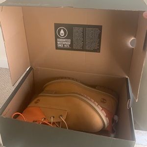 Timberland premium 6 inch boot wheat